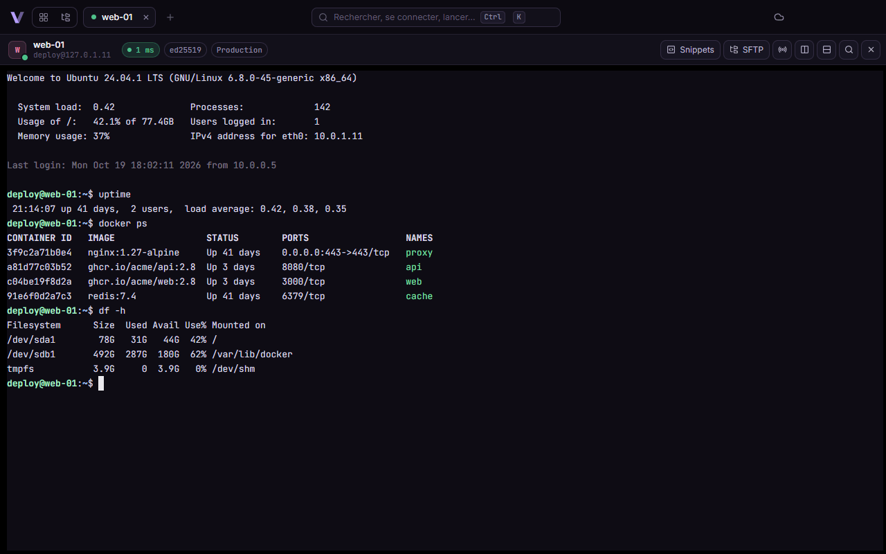 Terminal connecté à web-01 : uptime, docker ps, df -h